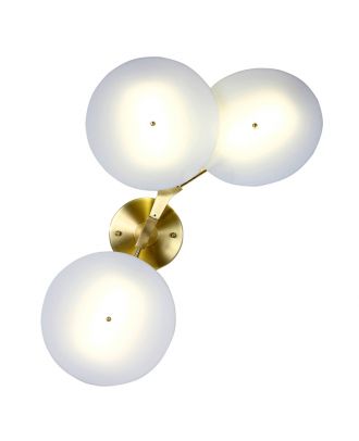 Branching Disc Wall Light